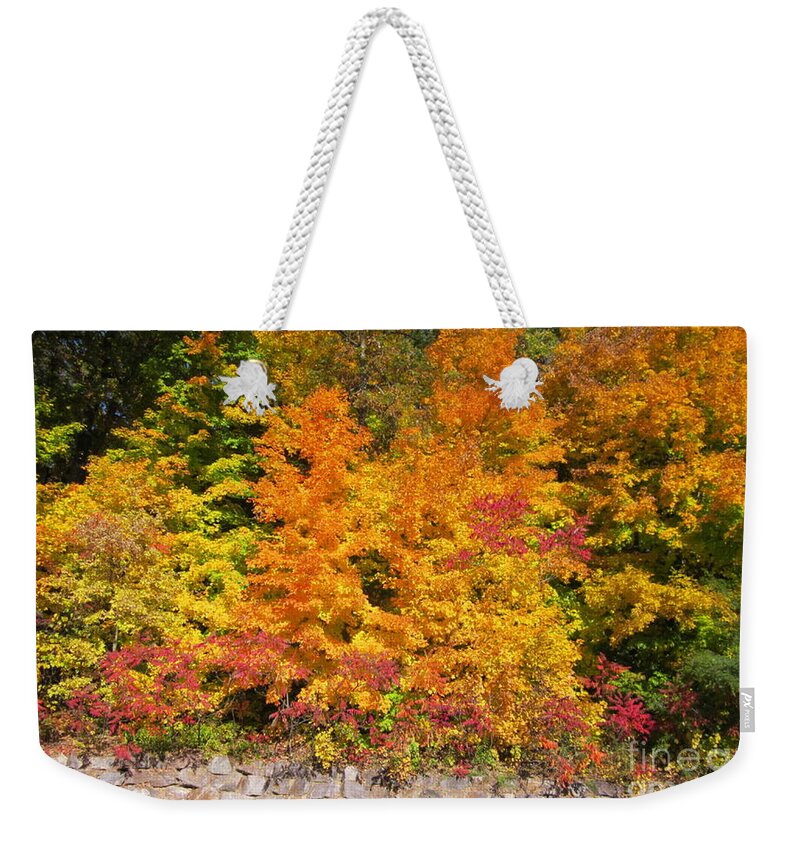 Photography Weekender Tote Bag featuring the photograph Devil's Lake State Park #1 by Kathie Chicoine