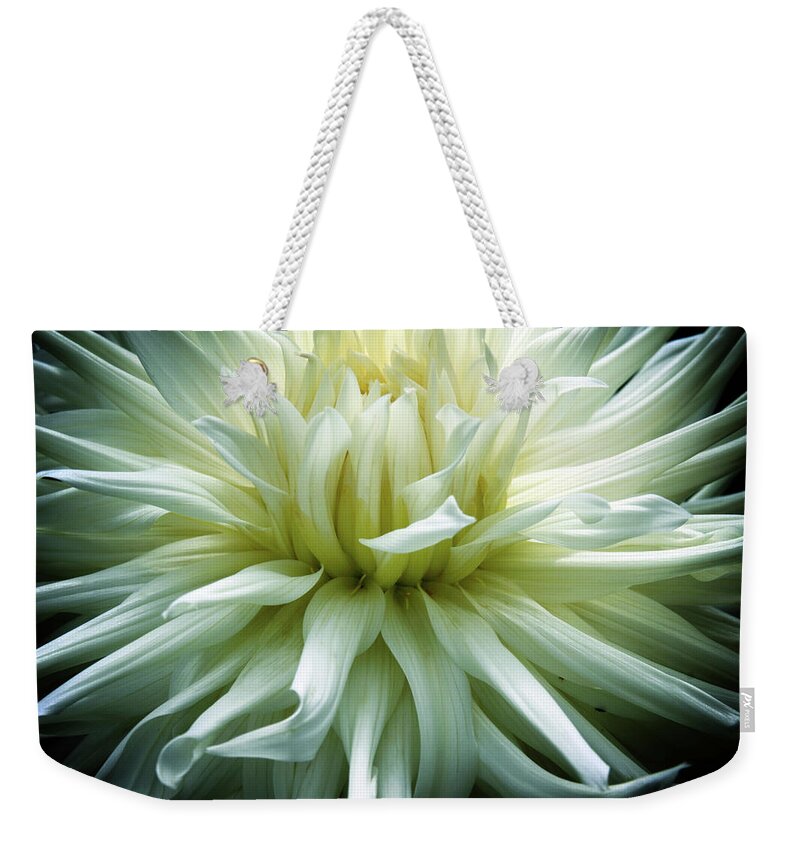 Dahlia Weekender Tote Bag featuring the photograph Divine Dahlia by Jessica Jenney