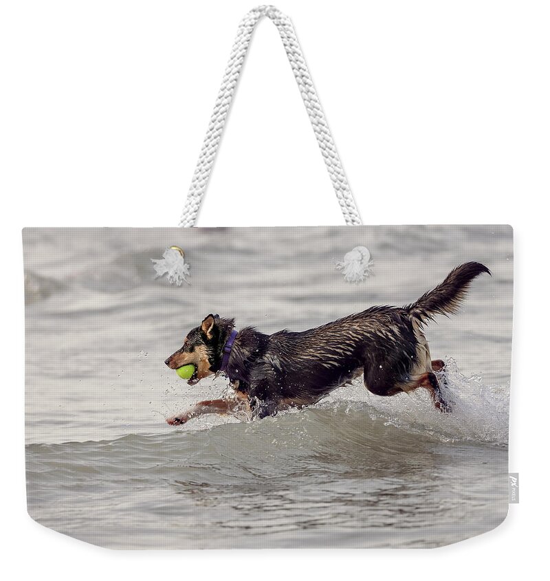 Animal Weekender Tote Bag featuring the photograph Dog with tennis ball #1 by Peter Lakomy