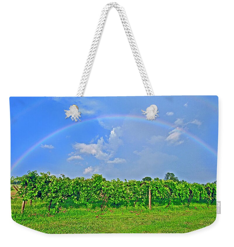 Double Rainbow Weekender Tote Bag featuring the photograph Double Rainbow Vineyard, Smith Mountain Lake #1 by The James Roney Collection