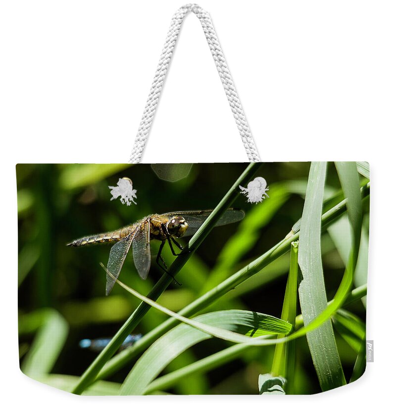 Dragonfly Weekender Tote Bag featuring the photograph Dragonfly #1 by Benjamin Dahl