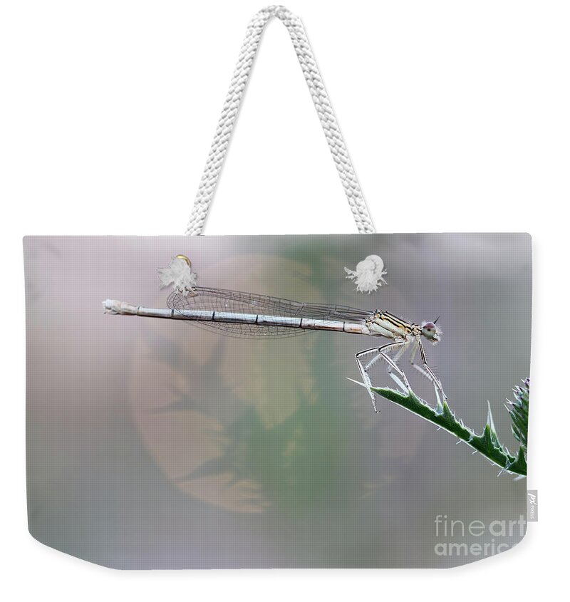 Dragonfly Weekender Tote Bag featuring the photograph Dragonfly on leaf #1 by Michal Boubin