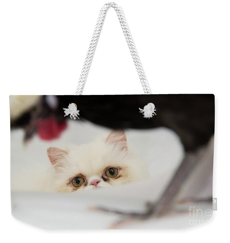 Persian Weekender Tote Bag featuring the photograph Dreaming Big #1 by Jeannette Hunt