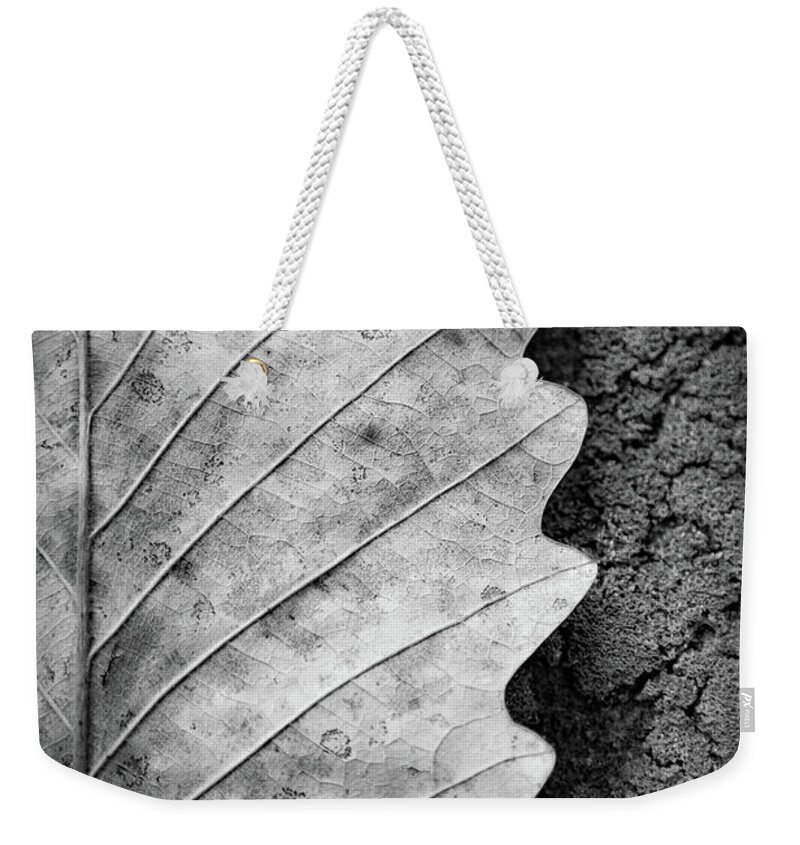 Leaf Weekender Tote Bag featuring the photograph Dried Leaf #1 by Henri Irizarri