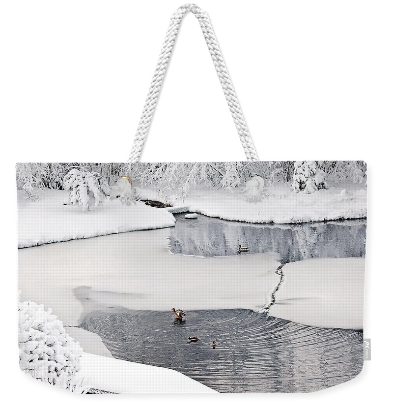 Ducks On A Pond Print Weekender Tote Bag featuring the photograph Ducks on a pond Print #1 by Gwen Gibson