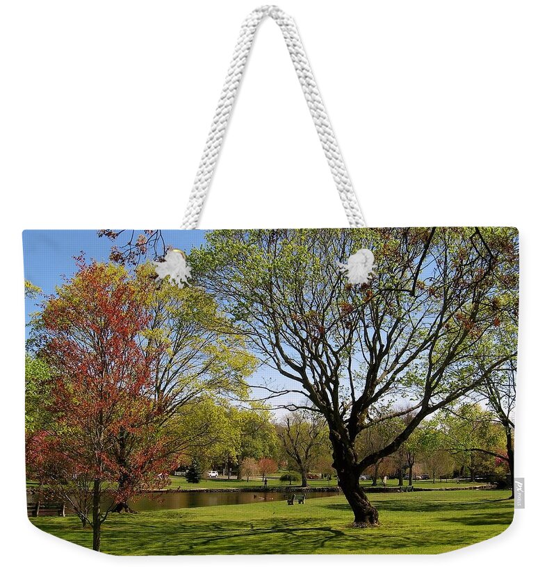 Landscape Weekender Tote Bag featuring the photograph Early Spring #2 by John Scates