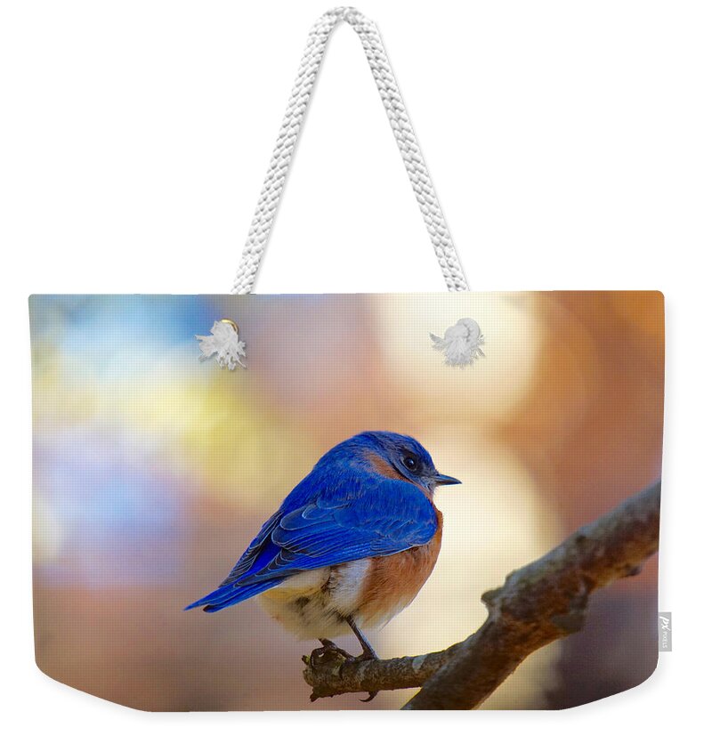 Bluebird Weekender Tote Bag featuring the photograph Eastern Bluebird #1 by Robert L Jackson