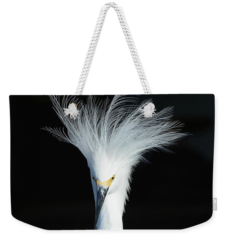 Snowy Egret Weekender Tote Bag featuring the photograph Electrifying #1 by Fraida Gutovich