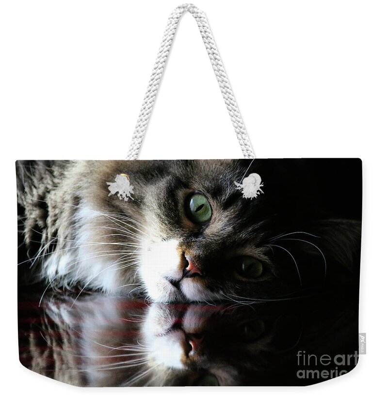 Animal Weekender Tote Bag featuring the photograph Emerald Eyes #1 by Susan Herber