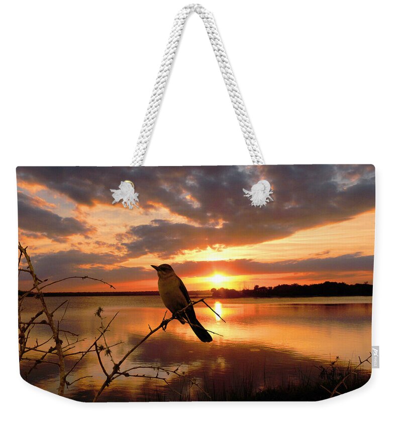 Sunset Weekender Tote Bag featuring the photograph Enjoying the Sunset by Michele A Loftus