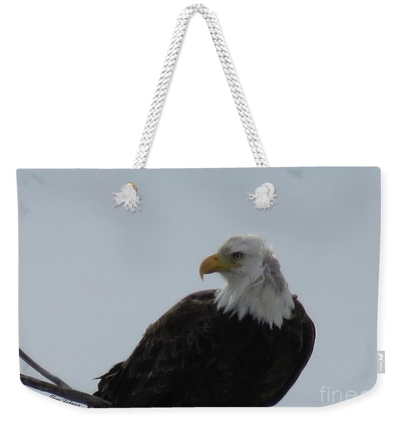 Bold Eagle Weekender Tote Bag featuring the photograph Eye on you by Yumi Johnson