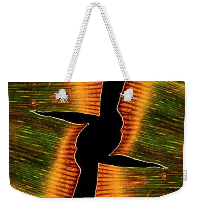 Ginkgo Leaves Weekender Tote Bag featuring the photograph Faded Glory #1 by Garry McMichael