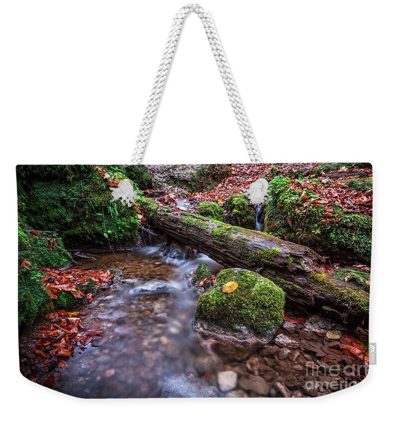 Autumn Weekender Tote Bag featuring the photograph Fall In The Woods by Hannes Cmarits