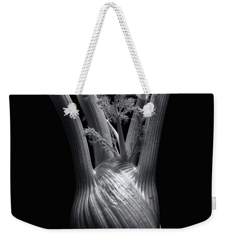 Fennel Weekender Tote Bag featuring the photograph Fennel by Wayne Sherriff