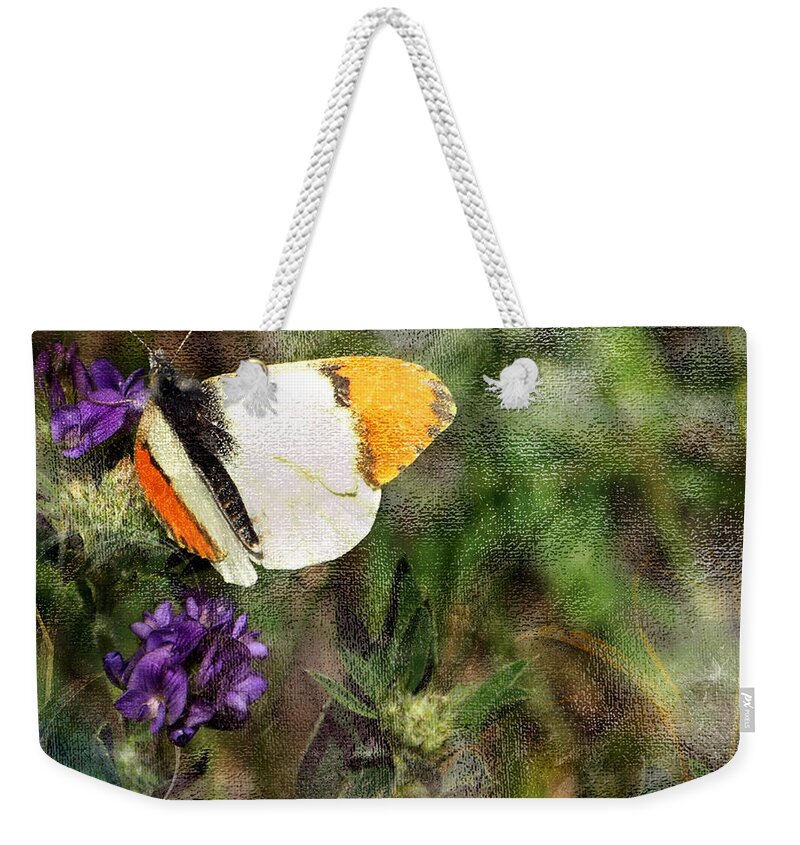 Butterfly Weekender Tote Bag featuring the photograph Field Trip 1 by Ed Hall