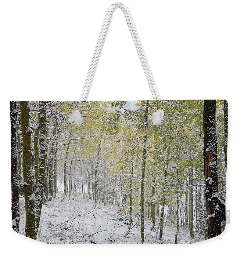 Fall Weekender Tote Bag featuring the photograph First Snow Fall #2 by Matt Helm