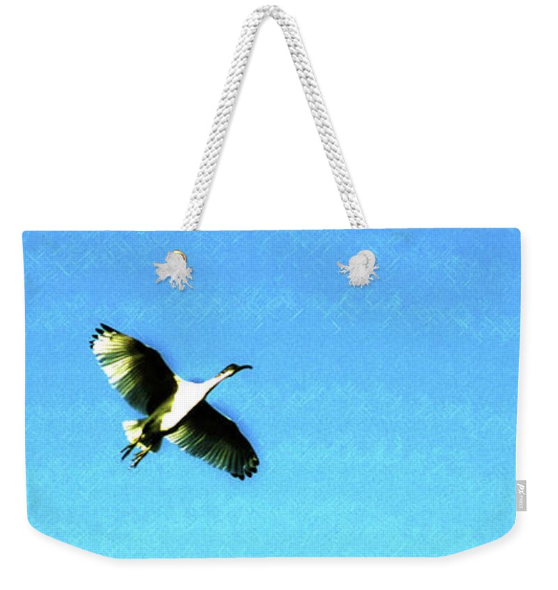 Bird Weekender Tote Bag featuring the photograph Flight #1 by Cassandra Buckley