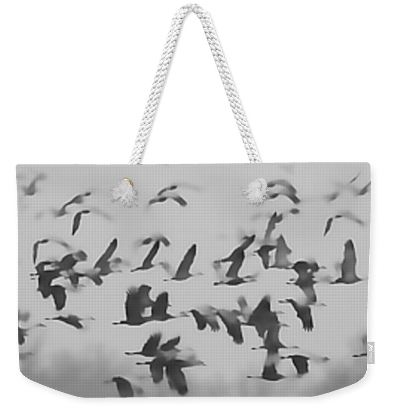 Birds Weekender Tote Bag featuring the photograph Flight of the Sandhill Cranes #1 by Pam Holdsworth