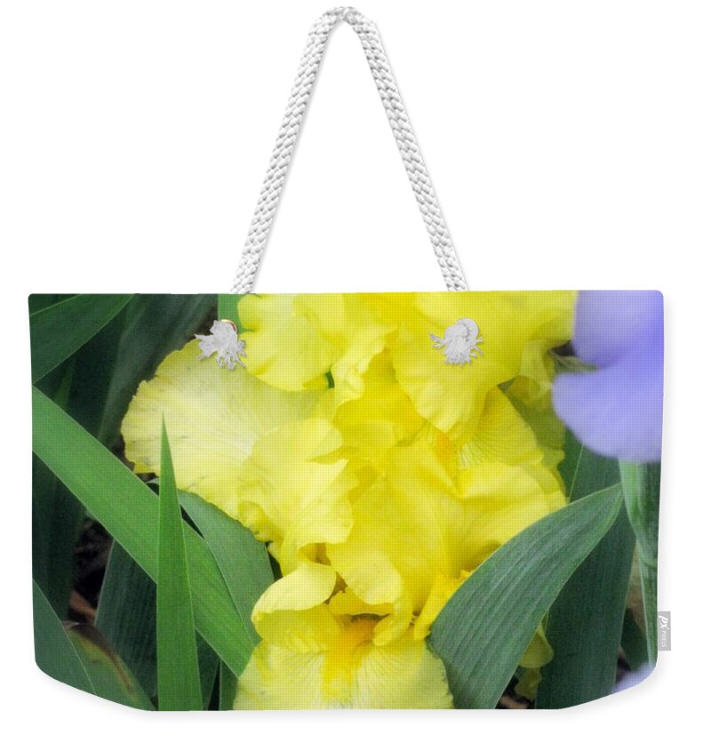 Flowers Weekender Tote Bag featuring the photograph Flowering Forth #1 by Deborah Crew-Johnson