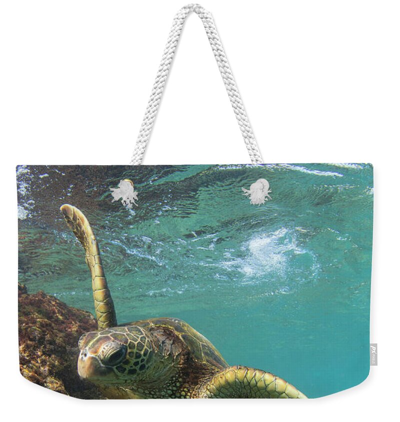 Maui Hawaii Green Sea Turtle Black Rock Ocean Weekender Tote Bag featuring the photograph Flying #1 by James Roemmling