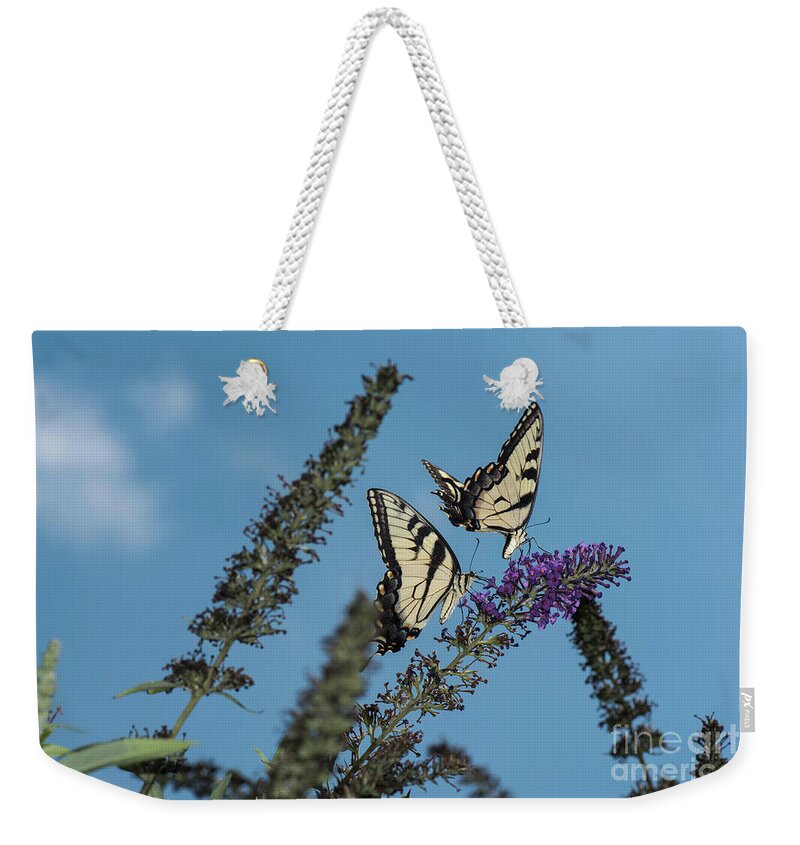 Butterfly Weekender Tote Bag featuring the photograph Follow The Leader by Judy Wolinsky