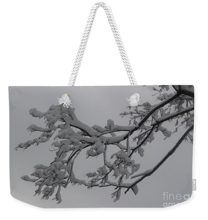 Winter Weekender Tote Bag featuring the photograph Fresh Snow on Magnolia Tree #1 by Dora Sofia Caputo