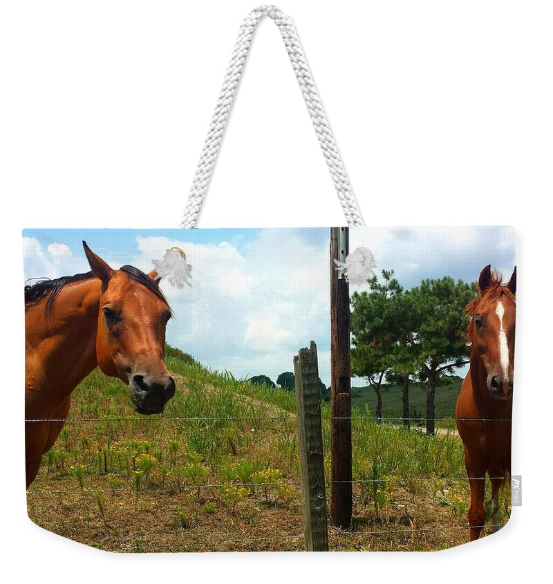 Horse Weekender Tote Bag featuring the photograph Friendly Stallions #1 by Kenny Glover