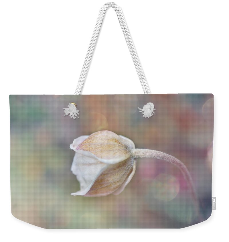 Gentle Weekender Tote Bag featuring the photograph Gentle White Flower #1 by Lilia S