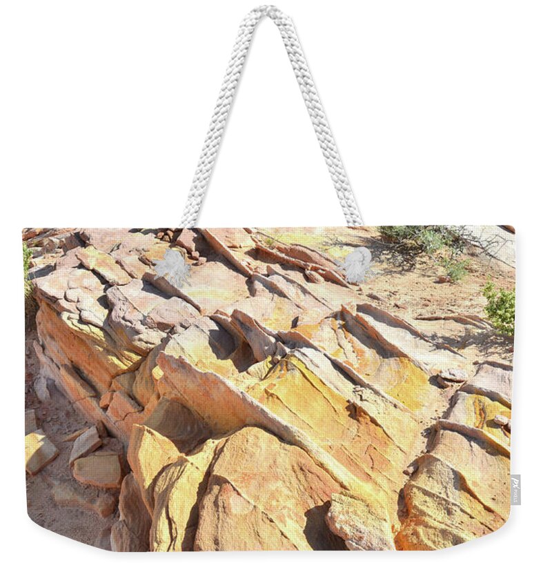 Valley Of Fire State Park Weekender Tote Bag featuring the photograph Gold Vein in Valley of Fire #1 by Ray Mathis