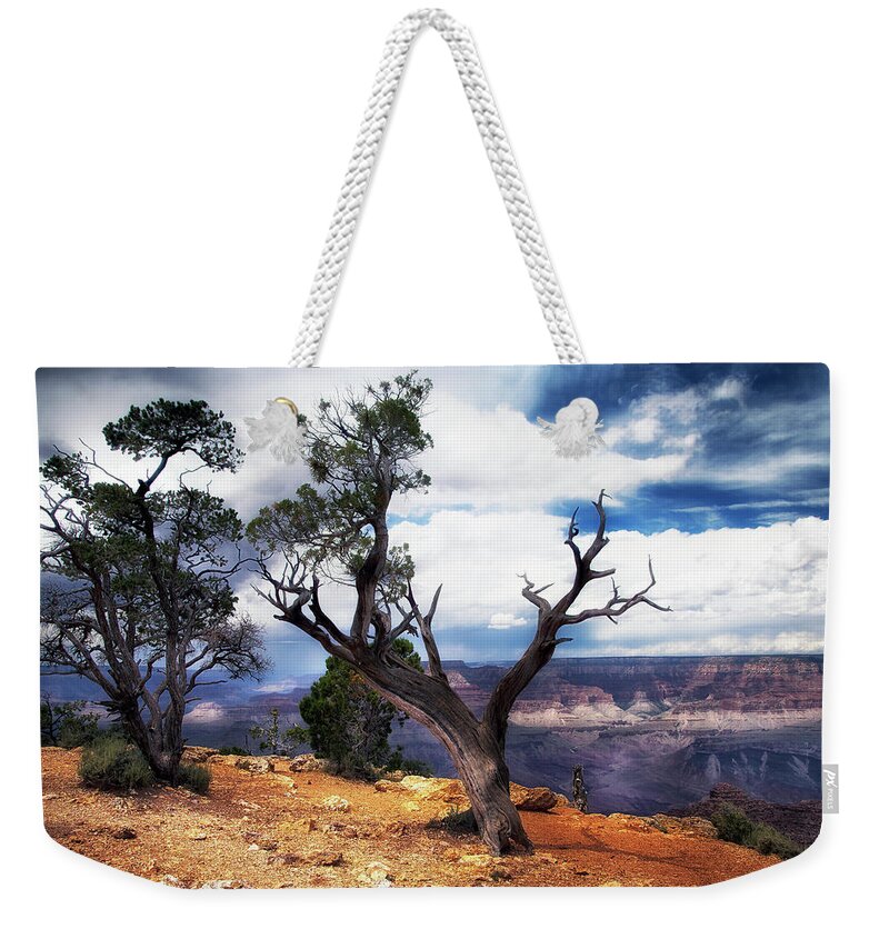 Grand Canyon Weekender Tote Bag featuring the photograph Grand Canyon #1 by James Bethanis