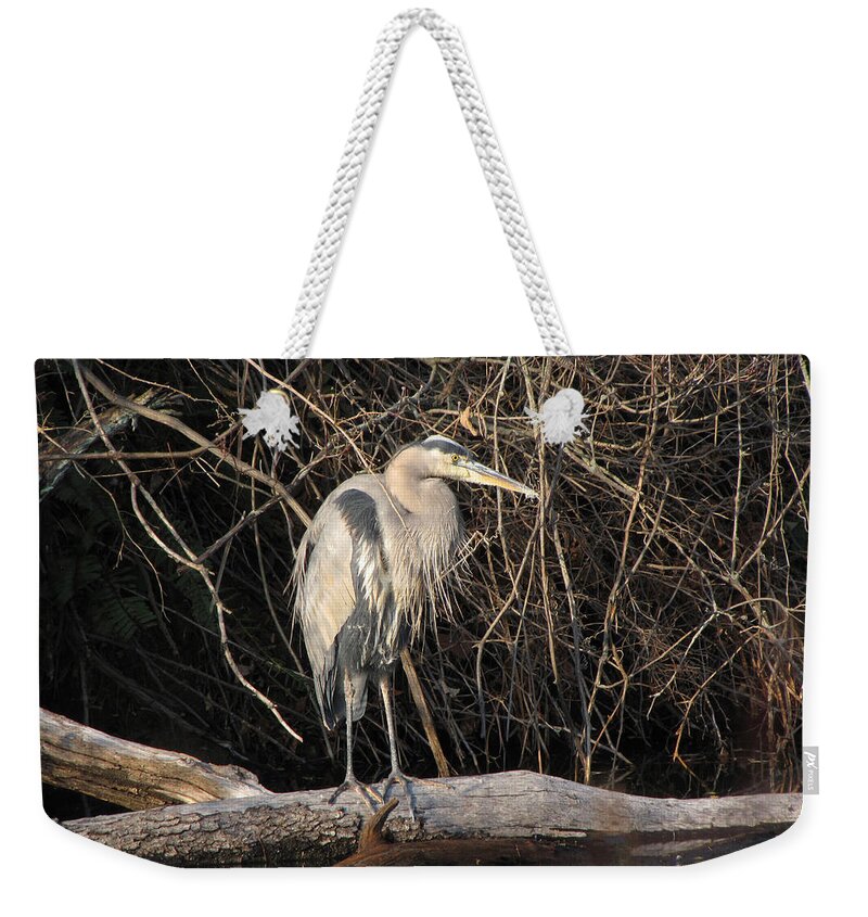 Animal Weekender Tote Bag featuring the photograph Great Blue Heron by Ann Bridges