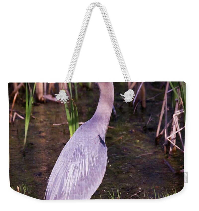Animals Weekender Tote Bag featuring the photograph Great Blue Heron #1 by Tom Brickhouse