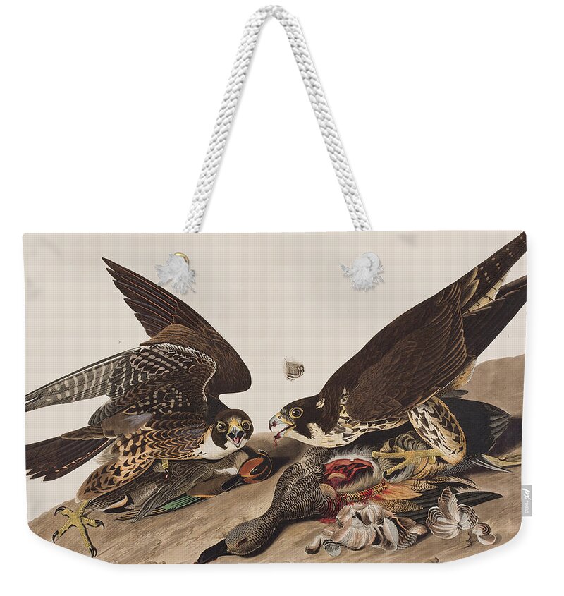 Hawk Weekender Tote Bag featuring the painting Great-footed Hawk by John James Audubon