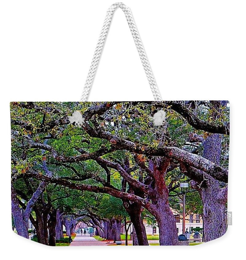 Newday Weekender Tote Bag featuring the photograph Happy Sunday! May The #path You Take #1 by Austin Tuxedo Cat