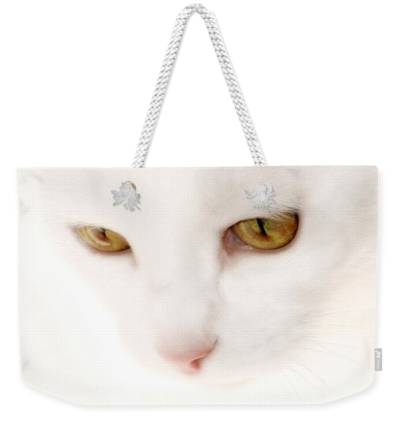 Cat Portraits Weekender Tote Bag featuring the photograph Heavenly Angel by Angie Tirado