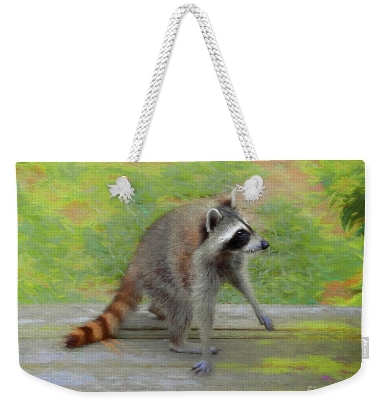 Raccoons-raccoon Weekender Tote Bag featuring the photograph Hello It's Me #1 by Scott Cameron
