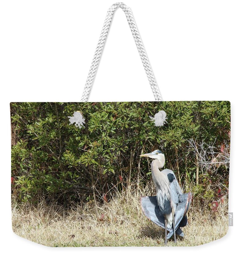 Heron Weekender Tote Bag featuring the photograph Henry the Heron #1 by Benanne Stiens