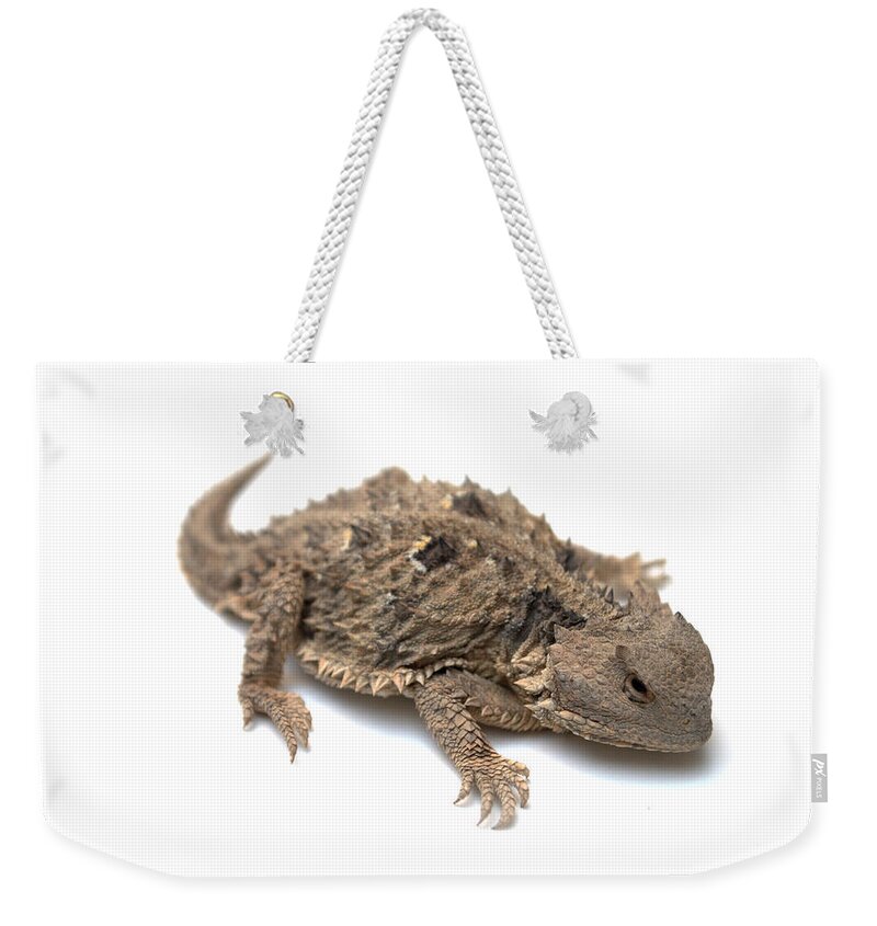 Lizard Weekender Tote Bag featuring the photograph Horned Lizard #1 by Nathan Abbott