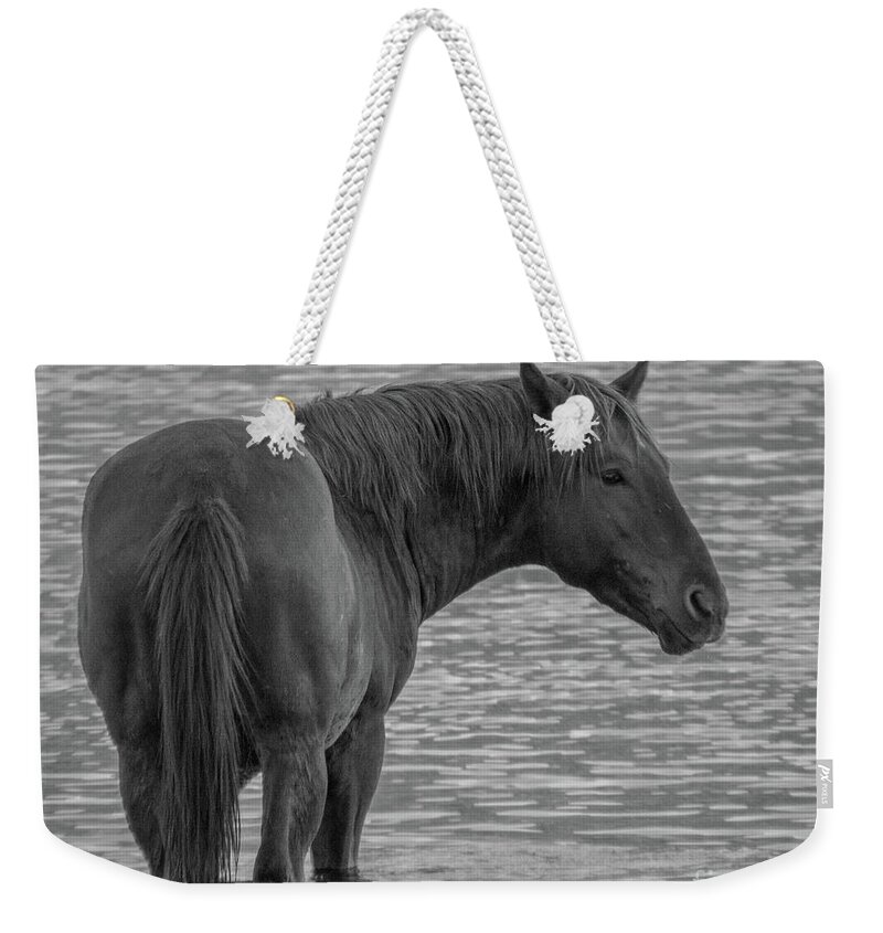 Horse Weekender Tote Bag featuring the photograph Horse 10 by Christy Garavetto