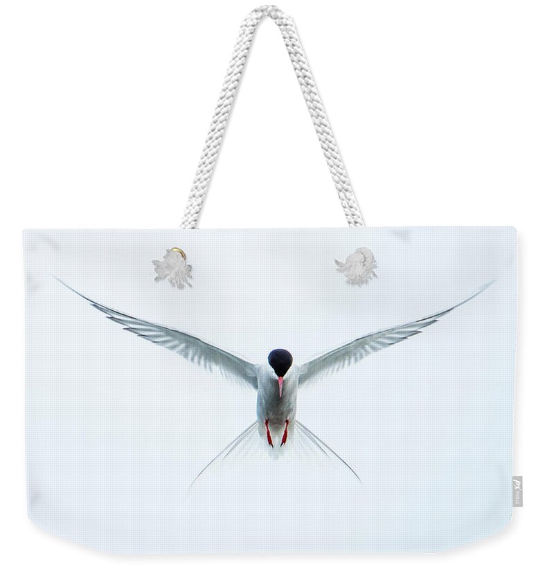 Flying Arctic Tern Weekender Tote Bag featuring the photograph Hovering Tern by Torbjorn Swenelius