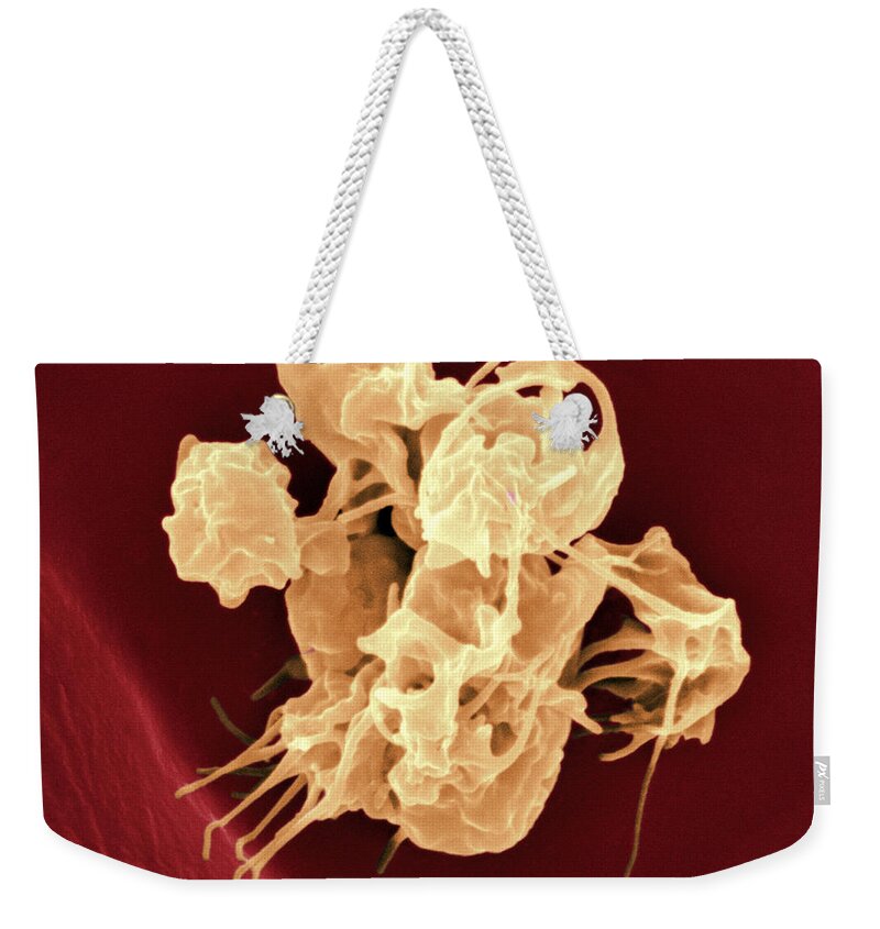 Thrombocyte Weekender Tote Bag featuring the photograph Human Thrombocytes Platelets, Sem #1 by Scimat