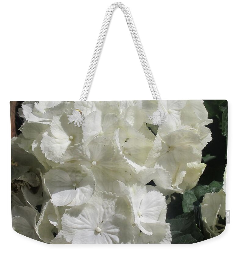 Hydrangea Weekender Tote Bag featuring the photograph Hydrangea #1 by Jackie Russo
