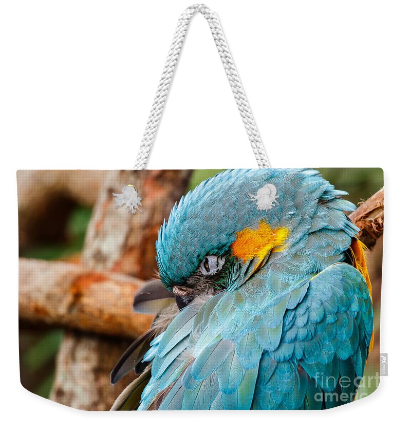 Parrot Weekender Tote Bag featuring the photograph I see you #1 by Les Greenwood