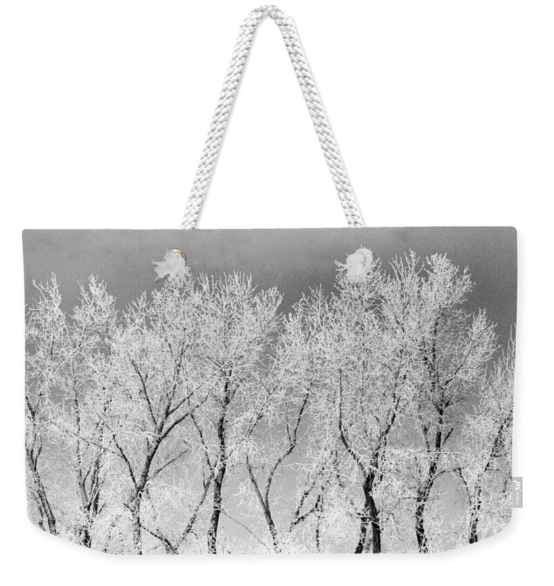 Trees Ice North Dakota Weekender Tote Bag featuring the photograph Ice Trees #1 by William Kimble