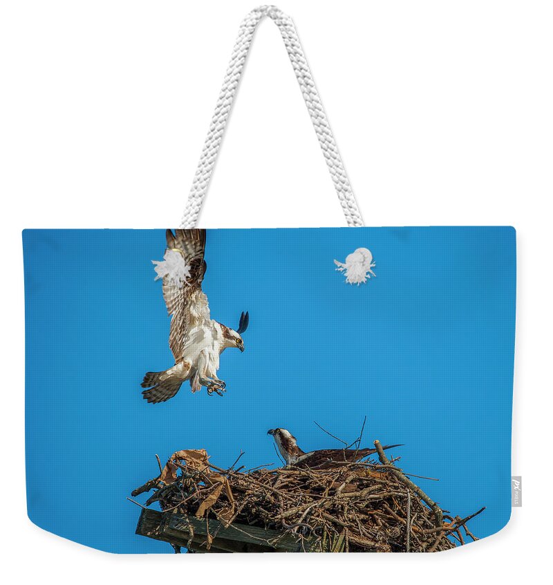 Raptor Weekender Tote Bag featuring the photograph Incoming by Cathy Kovarik