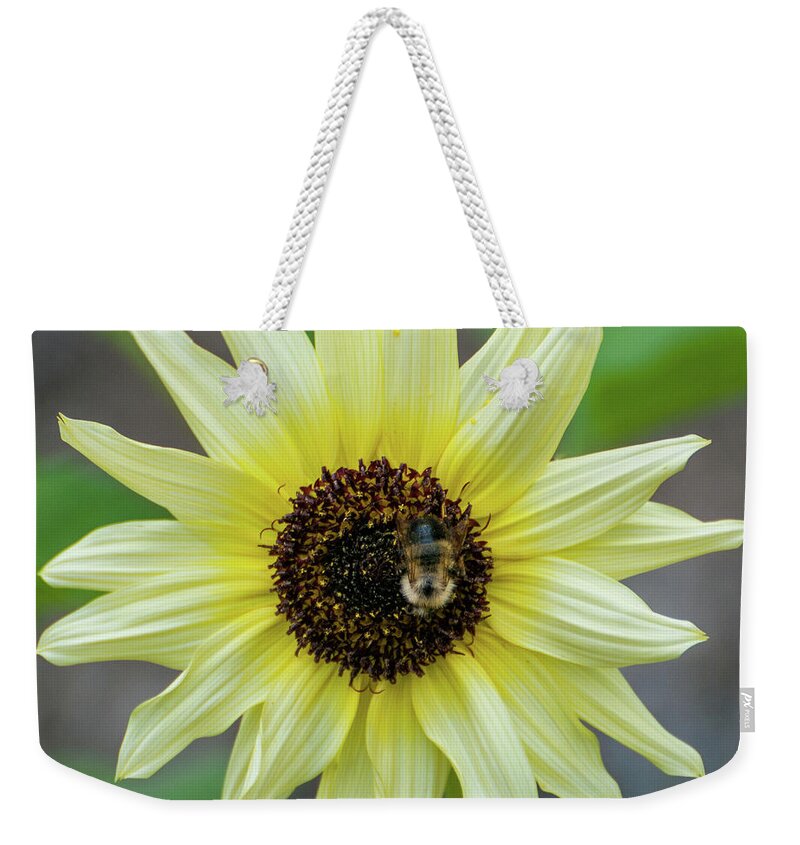 Italian Sunflower Weekender Tote Bag featuring the photograph Italian Sunflower #1 by Brenda Jacobs