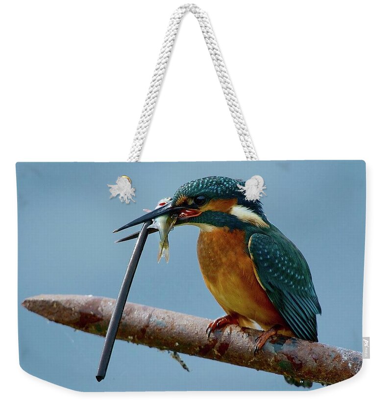 Kingfisher Weekender Tote Bag featuring the digital art Kingfisher #1 by Maye Loeser
