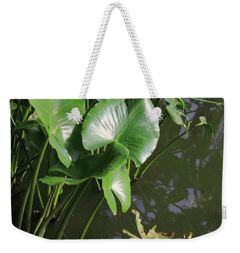 Bay Weekender Tote Bag featuring the photograph Lake Plants #1 by Frank Romeo