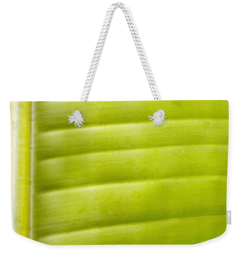 Botanical Weekender Tote Bag featuring the photograph Leaf Close-Up #1 by Tomas del Amo - Printscapes