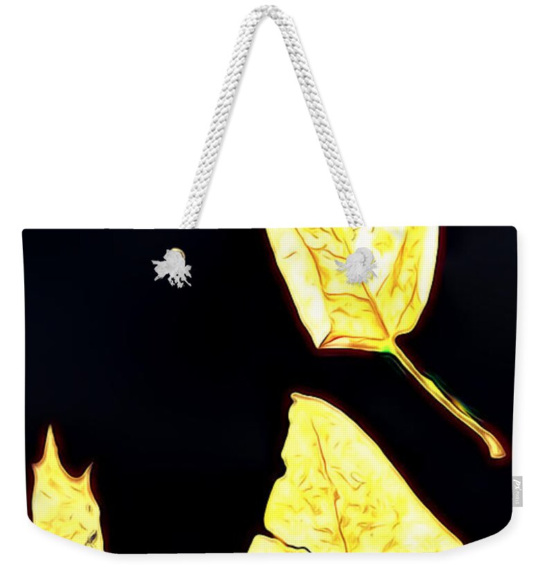 Leaves Weekender Tote Bag featuring the digital art Leaves in Light #1 by Cathy Anderson
